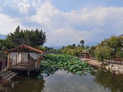 -大理洱源西湖景区