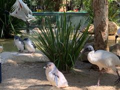 -费瑟代尔野生动物园