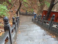 -藏山旅游风景区