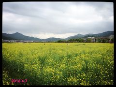 -古田会议纪念馆