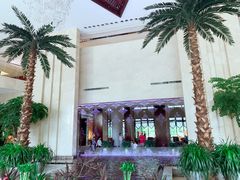 -常州环球恐龙城维景国际大酒店