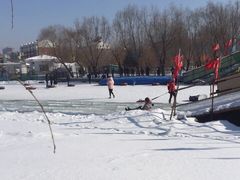 -长春公园(普阳街道)