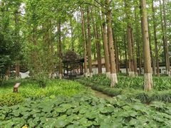 -瀛洲公园