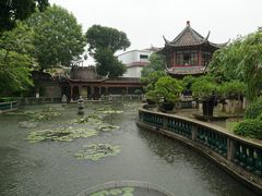 -碧江金楼