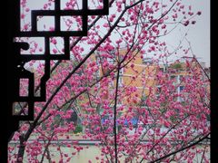 -望江楼公园