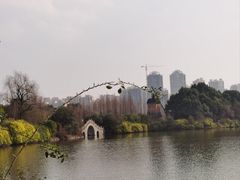 -成都南湖公园