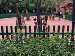 -无锡动物园·太湖欢乐园