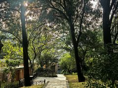 -广州七星岗古海岸遗址科学公园