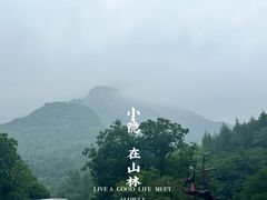-关门山森林公园