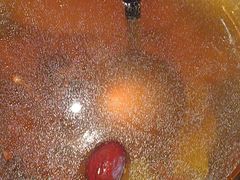 -鸽子侯·家宴·平价海鲜(绿地店)