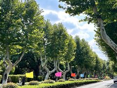 -浙江大学(玉泉校区)
