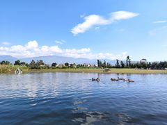 -大理洱源西湖景区