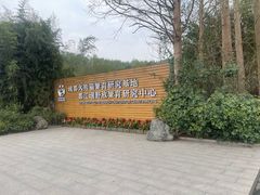 -都江堰中华大熊猫苑
