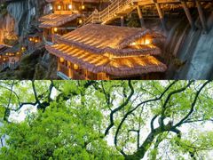 -婺源风景区