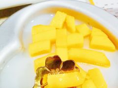 -墨脱石锅椰子鸡•香草鸭•东山羊(大东海店)