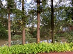 -上海长兴岛郊野公园