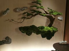 -揽季锅物会.福建黄鱼.海鲜姿造(五四路店)