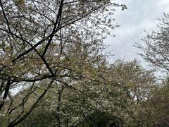 -中国茶叶博物馆(双峰馆区)