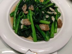 -老广酒楼(樱花店)