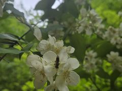 -龙门涧景区