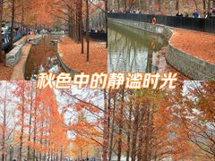 -白水寺森林公园