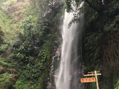 -莫里热带雨林景区