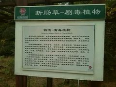 android_upload_pic-广西壮族自治区药用植物园