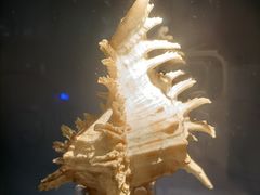 -中国湿地博物馆