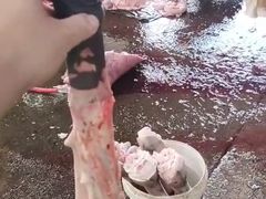 -河间正宗驴肉火烧(宾水西里店)