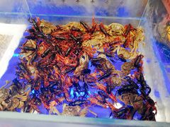 螃蟹和小龙虾-全盛自助烤肉(大商新玛特鞍山店)