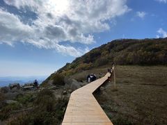 -白草畔自然风景区