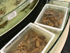 -慈溪白金汉爵大酒店