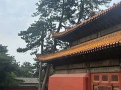 -普乐寺