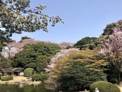 -东京国立博物馆