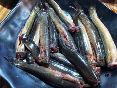 -铜元老码头鳝鱼火锅