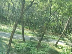 -秦皇岛野生动物园