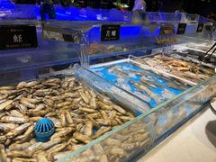 -加餐海鲜自助(宝龙一城店)