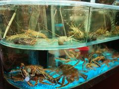 -海港酒家(上水新丰店)