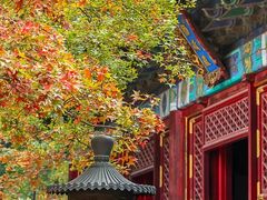 -香山公园