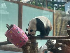 -青藏高原野生动物园