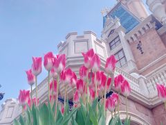 -上海迪士尼度假区