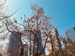 -城市阳台