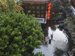 -北园酒家(小北路店)