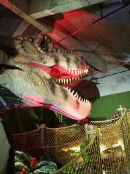 -恐龙探索乐园(磁器口店)