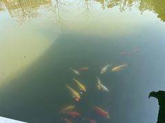 -广州神农草堂中医药博物馆