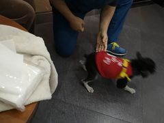 -仁普宠物诊所(住友昌盛新苑店)