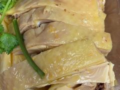 -九斤黄三黄鸡专卖店