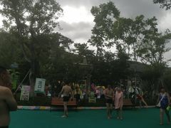 -苏州乐园森林水世界