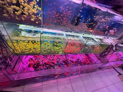 -双季花艺园艺市场(浦东店)