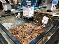 -盒马鲜生(皇庭广场店)